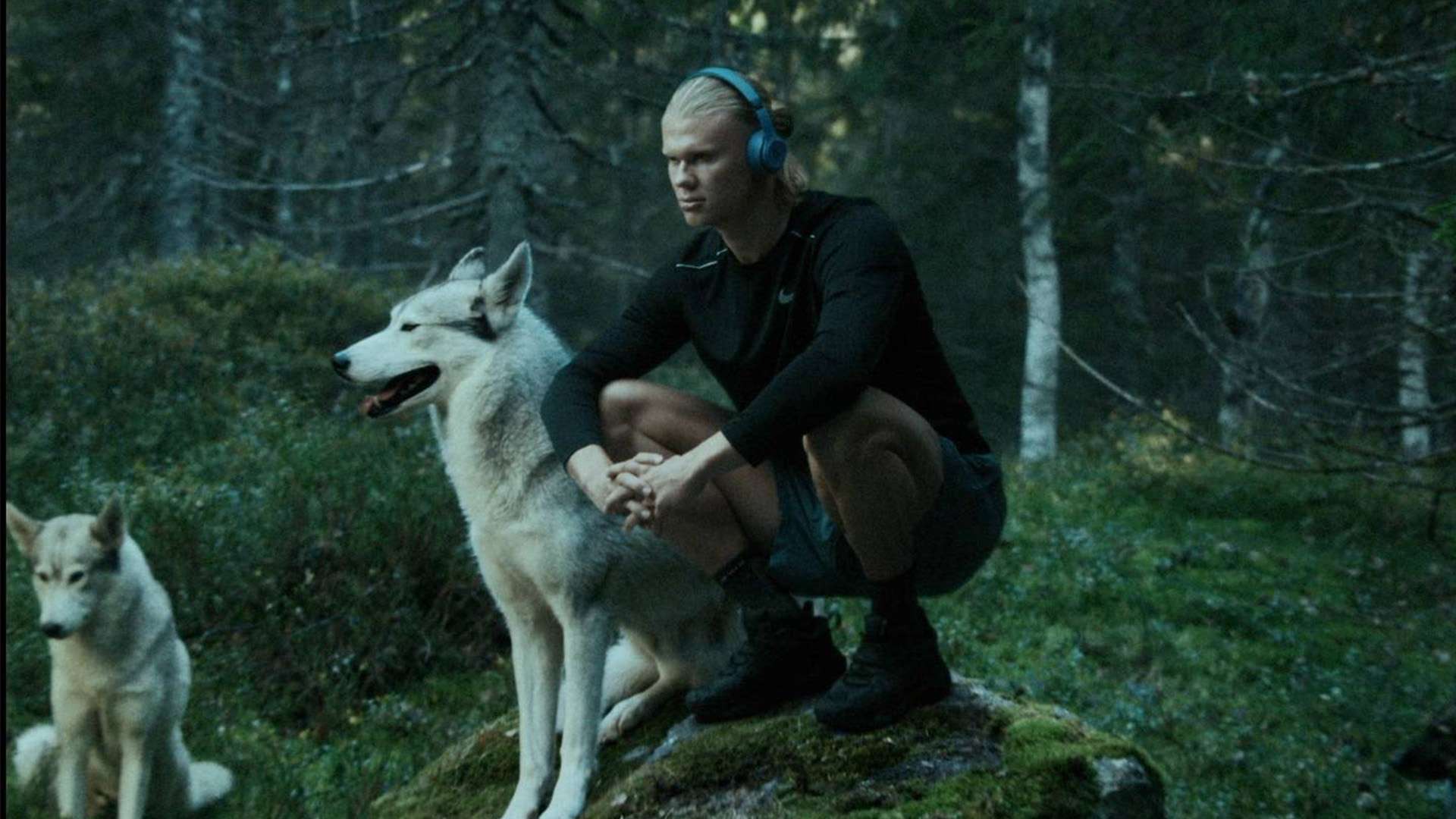 对于球迷来 对于球迷来