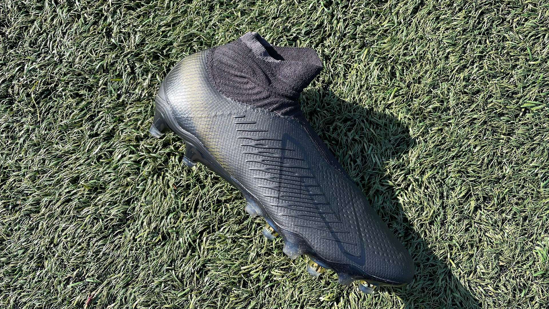 在培养本土 在培养本土